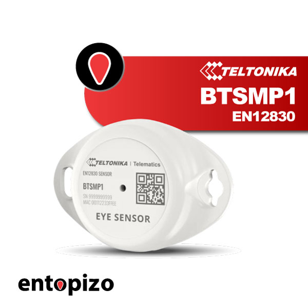 Temperature Sensor | Teltonika BTSMP1 EN12830