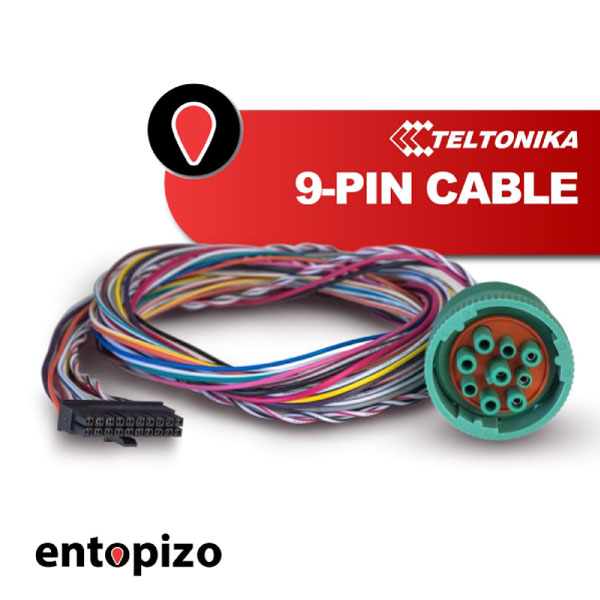 Teltonika FMx6 serie 9-PIN Cable (PPCB00007240)