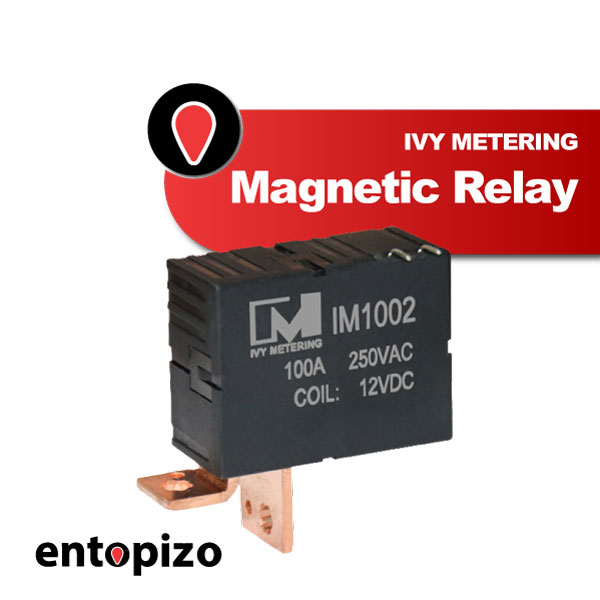 IM1002 Magnetic Relay Bistable 24VDC 100A (2pin)